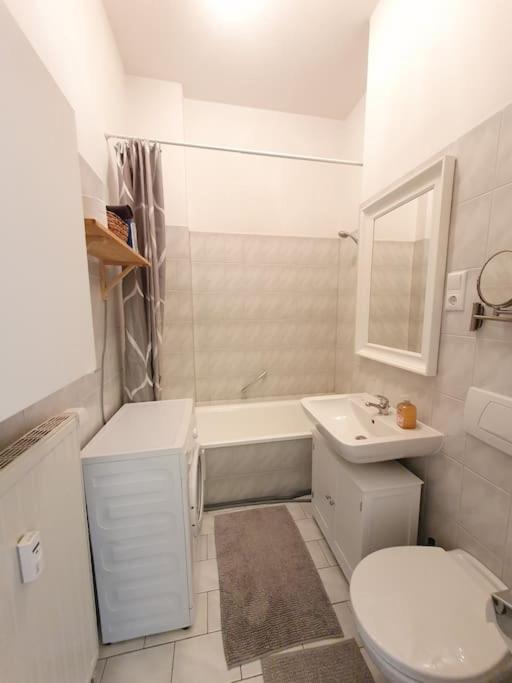 2 Room Apartment Near Station Neustadt In Dresden Neustadt Zewnętrze zdjęcie